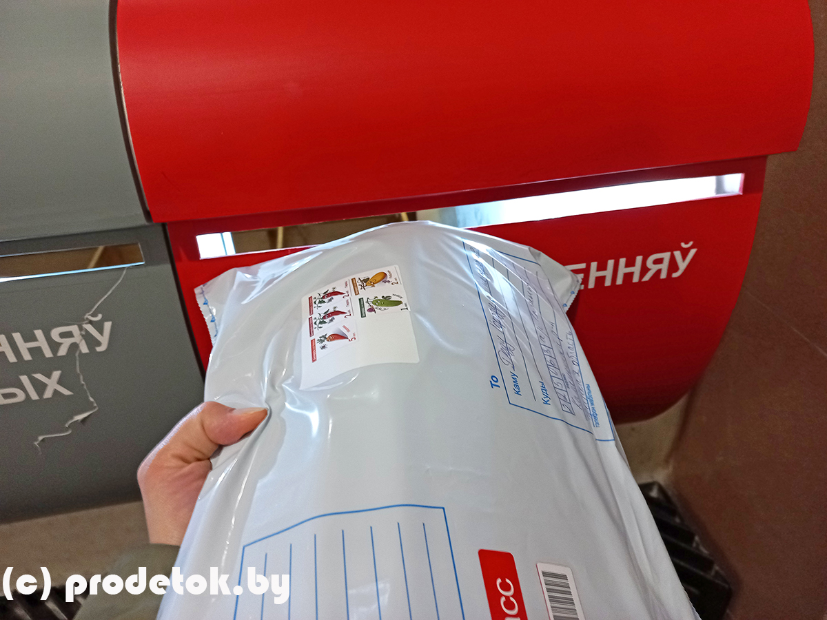 Как мы отправили ваши письма Деду Морозу: фотоотчет