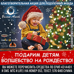 Благотворительная акция «Подарим детям волшебство на Рождество»