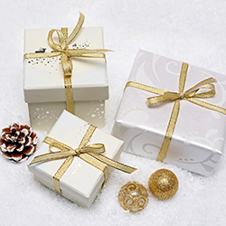 Как деткам-сиротам подарили сказочную поездку в гости к Деду Морозу