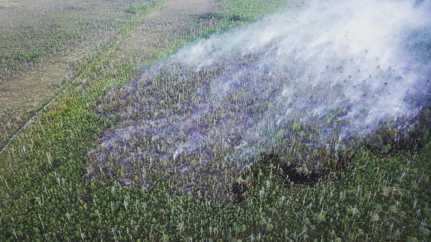 Пожар на Ельне: люди, не ломайте плотины! 