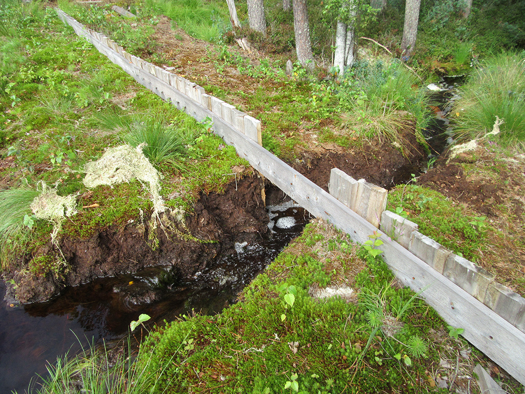 Пожар на Ельне: люди, не ломайте плотины! 