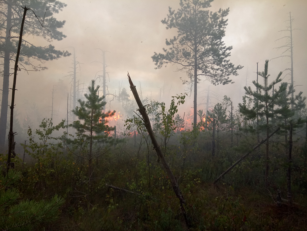 Пожар на Ельне: люди, не ломайте плотины! 