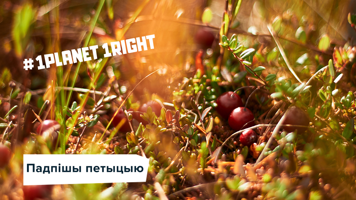 Больш за 100 000 грамадзян патрабуюць ад ААН дадаць да правоў чалавека права на здаровую планету