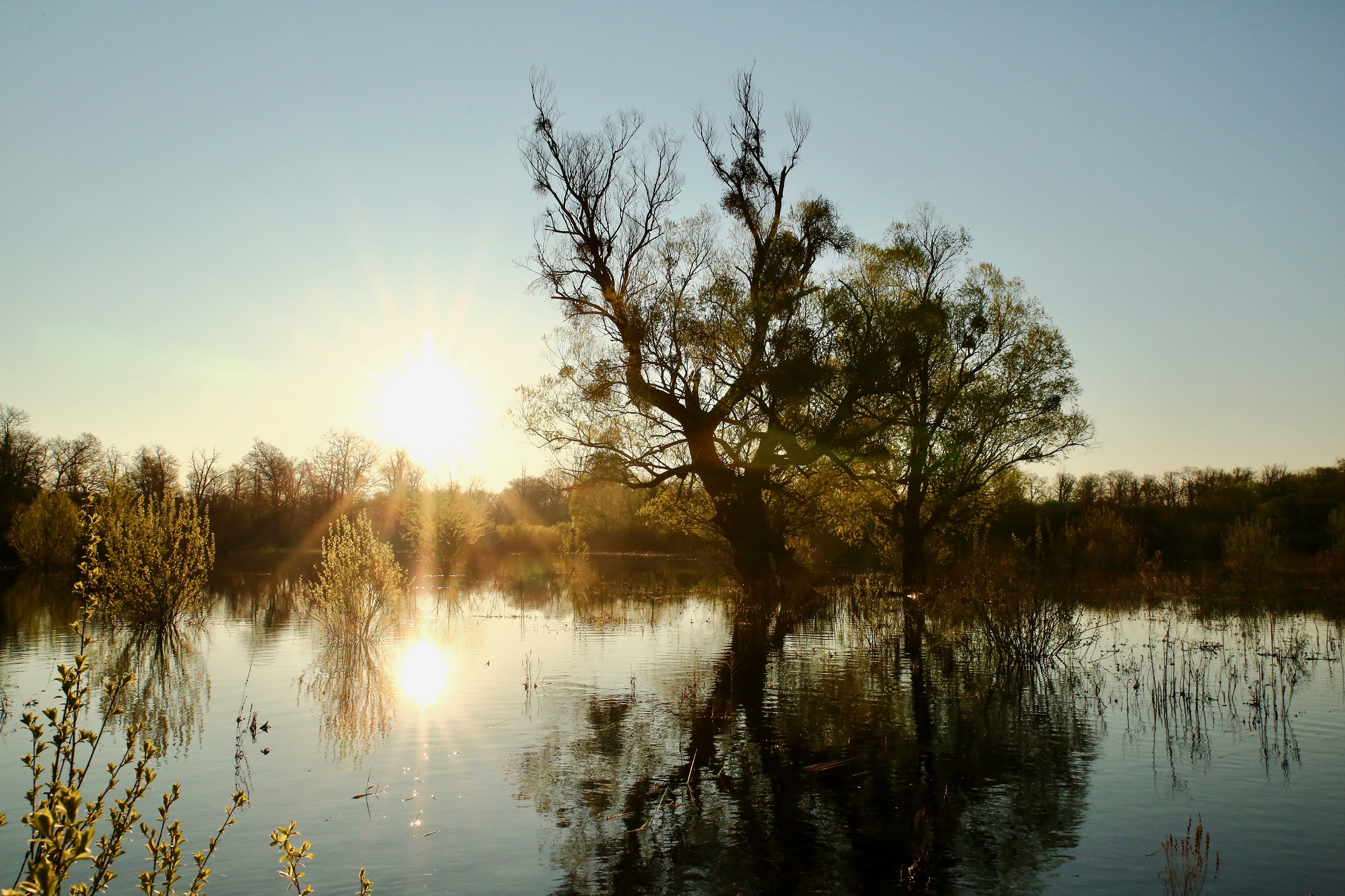«Припять, дай пять! 4.0»: акция-сплав в защиту Полесья запускается в новом формате