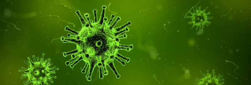 Зима 2020: планируется ли подъем заболеваемости ОРВИ и гриппом