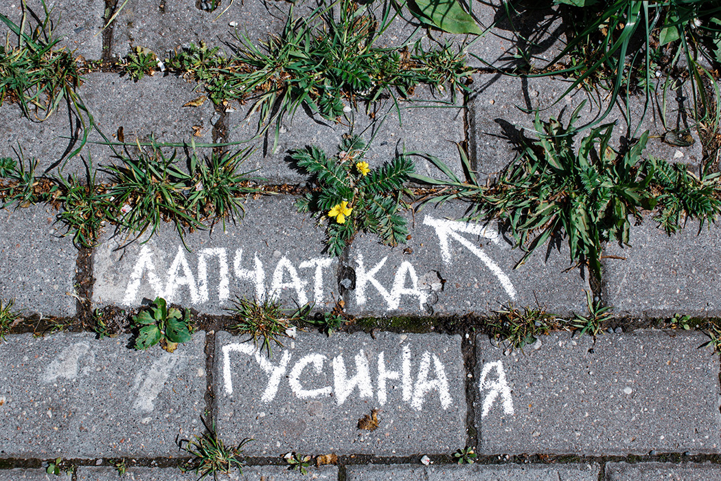 В столице начали подписывать растения