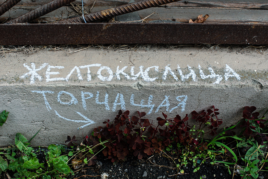 В столице начали подписывать растения