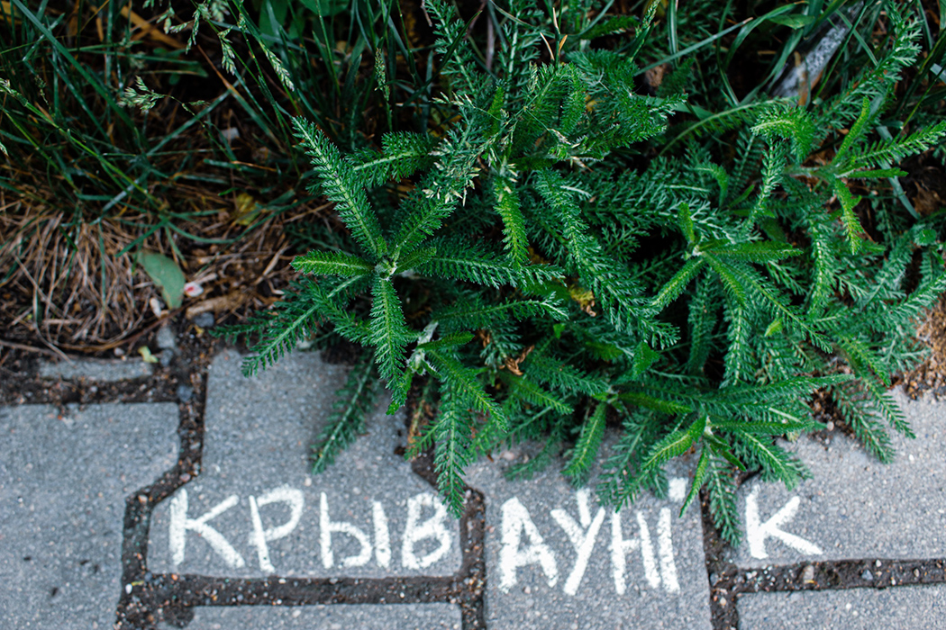 В столице начали подписывать растения