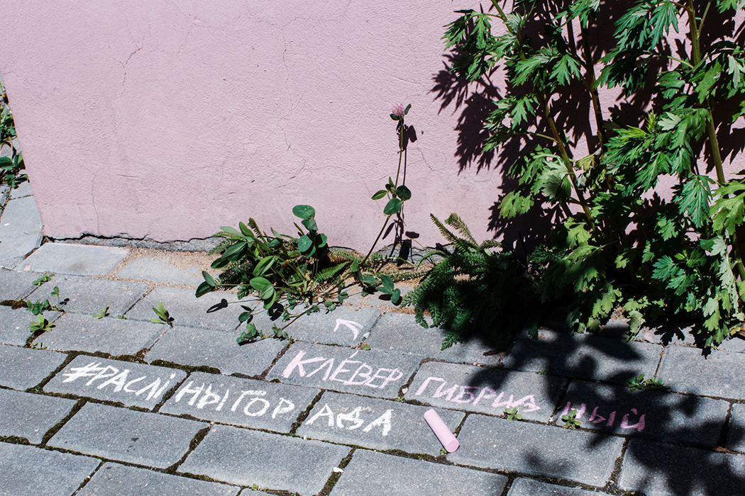 В столице начали подписывать растения