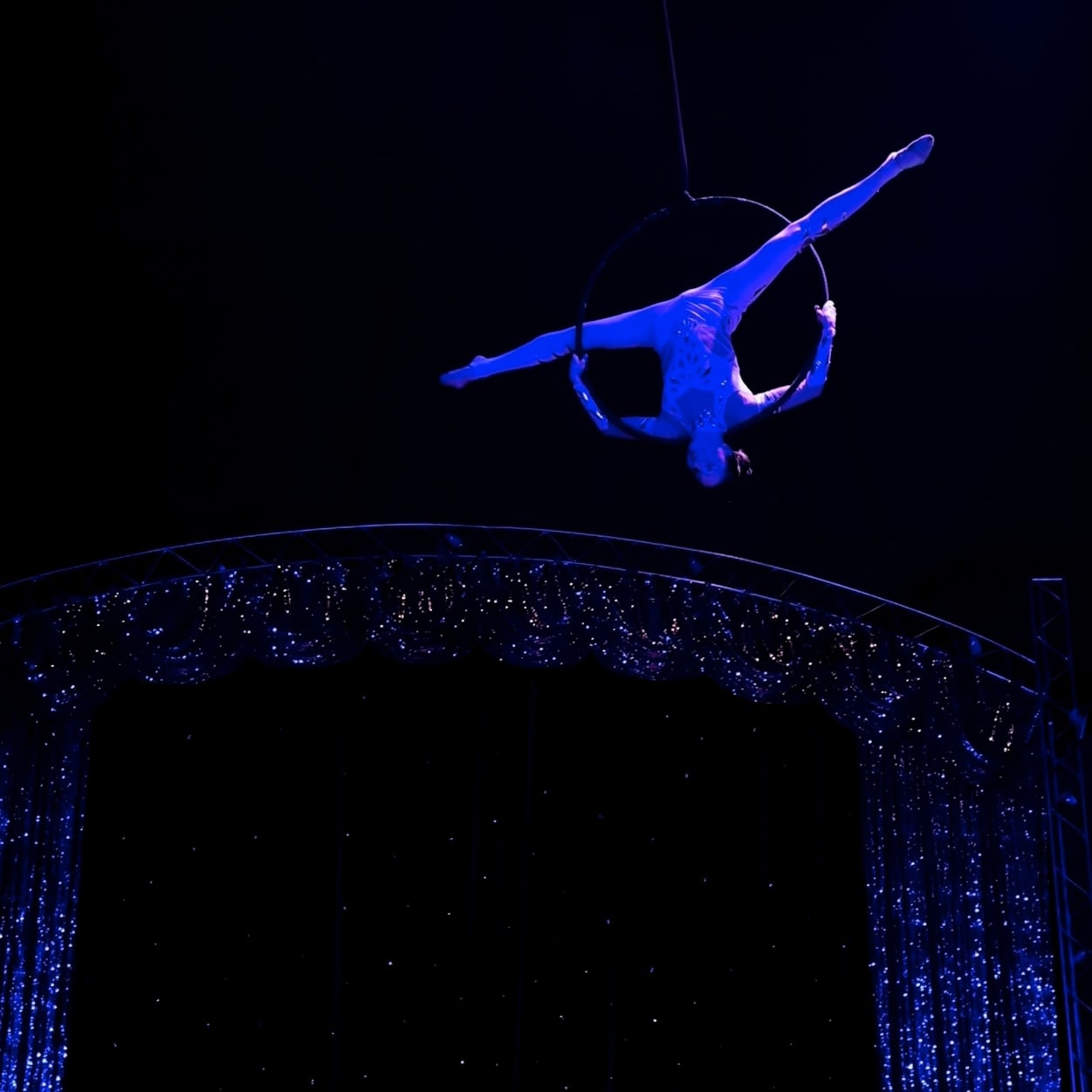 Воздушные гимнасты