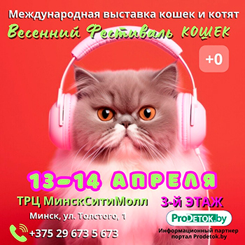 Весенний фестиваль кошек