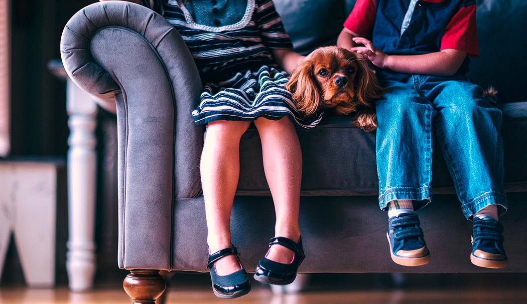 Какие семейные и детские развлечения в Минске отменяются. И что предлагают взамен.