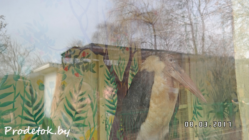 Минский зоопарк, 8 марта 2017 года, фото и отзыв