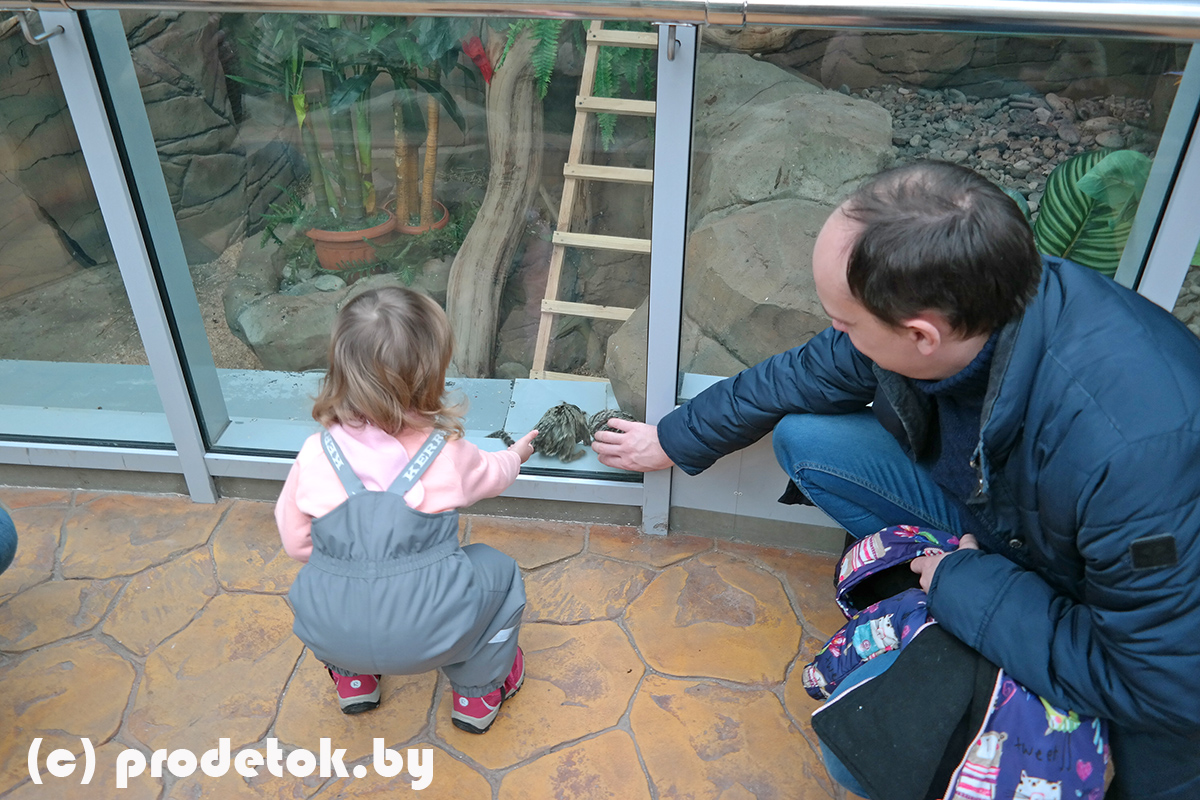 Чем заняться в Минском зоопарке в холодное время года: фотоотчет и отзыв