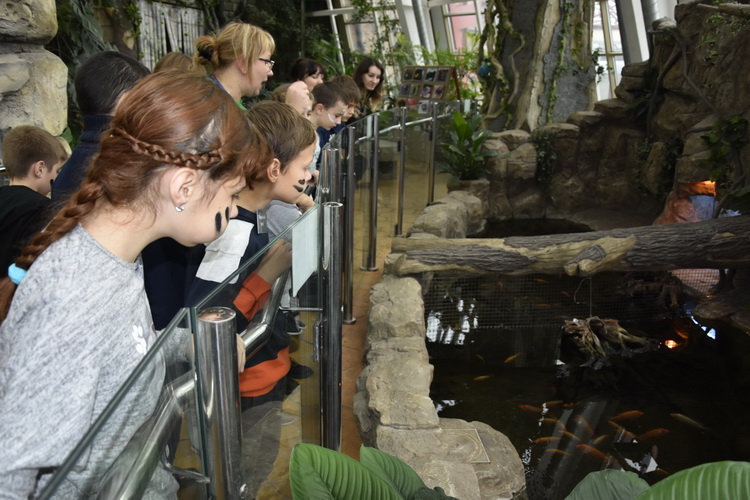 Минский зоопарк в осенние каникулы проводит игру-приключение «Таинственная Амазонка»: фотоотчет
