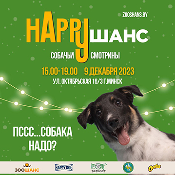 Акция по пристройству собак от «ЗООшанс»